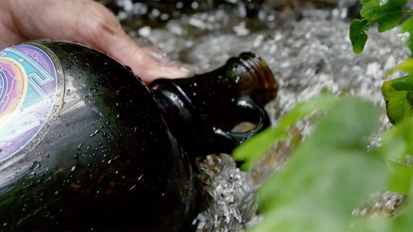 Discovery of Our Living Spring