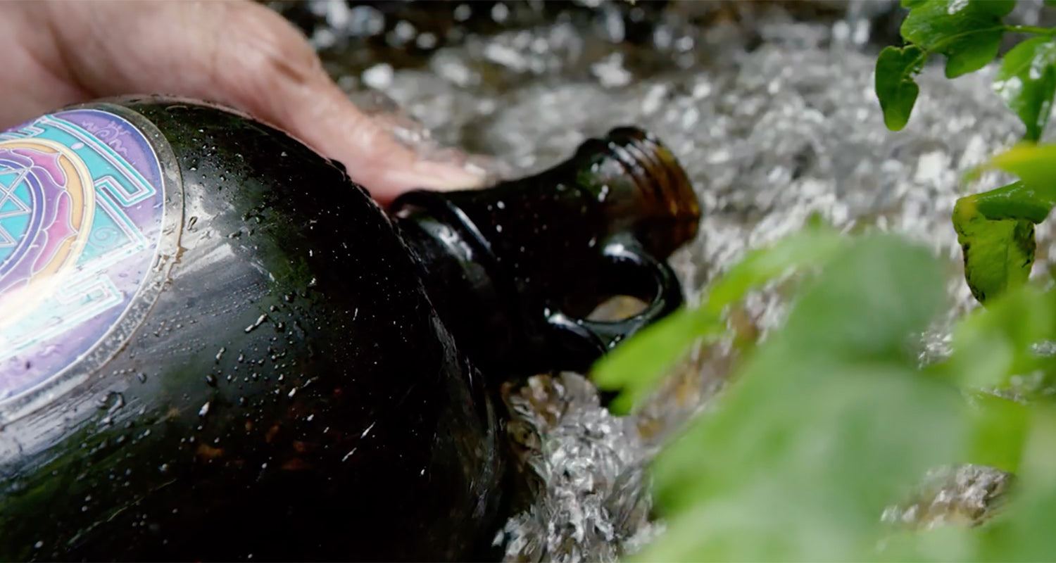 Discovery of Our Living Spring